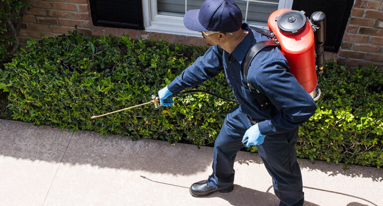 imagenes_slide_0000s_0011_general-pest-control-image